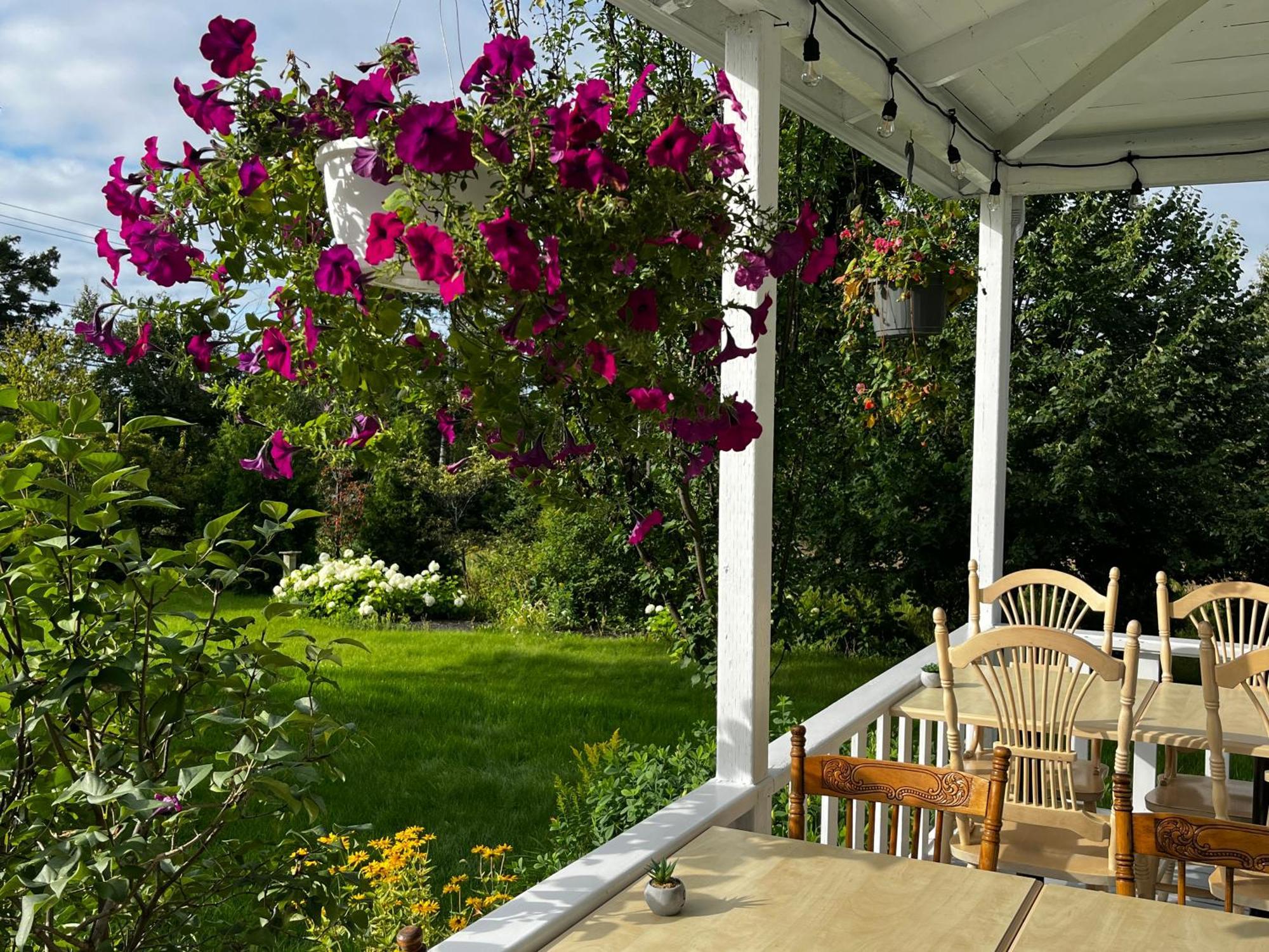 Auberge Musicale Pour Un Instant La Malbaie Exterior photo