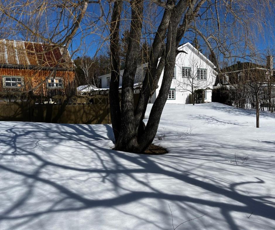 Auberge Musicale Pour Un Instant La Malbaie Exterior photo